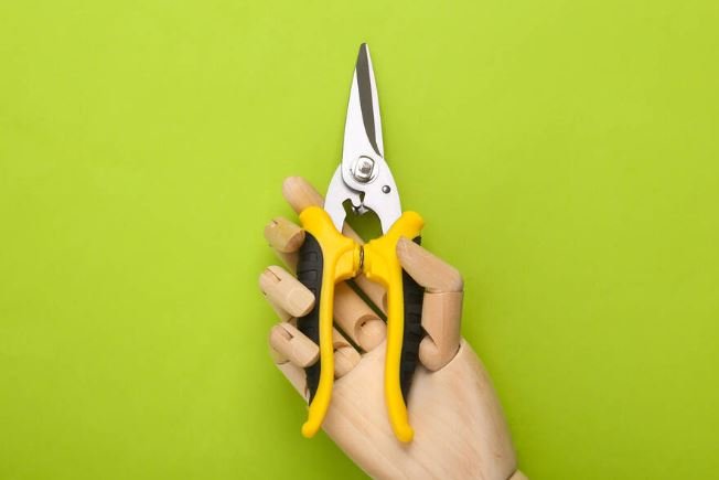 Wooden hand holding Garden pruner on green background