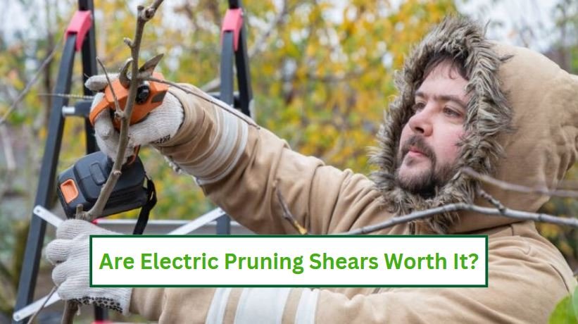 Are electric pruning shears worth it
