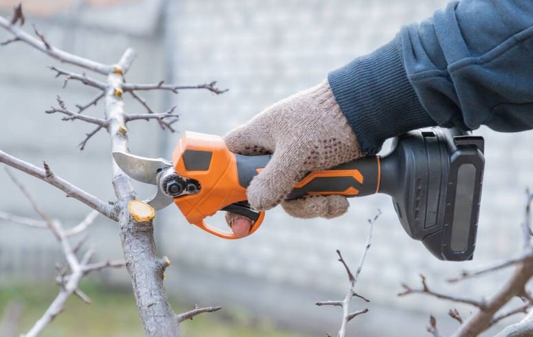 Gardener's hand prunes and cuts branches of a tree in the garden with using electric battery powered pruning secateurs, shears