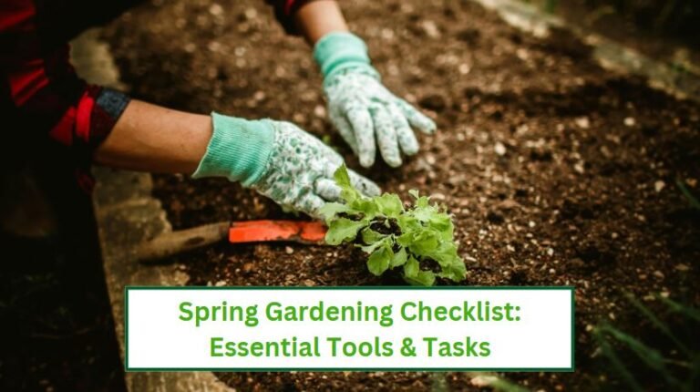 Spring gardening checklist essential tools and tasks