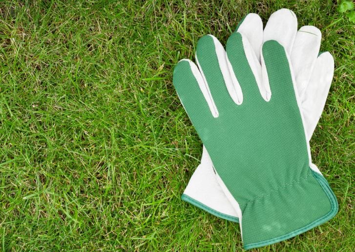 Garden gloves