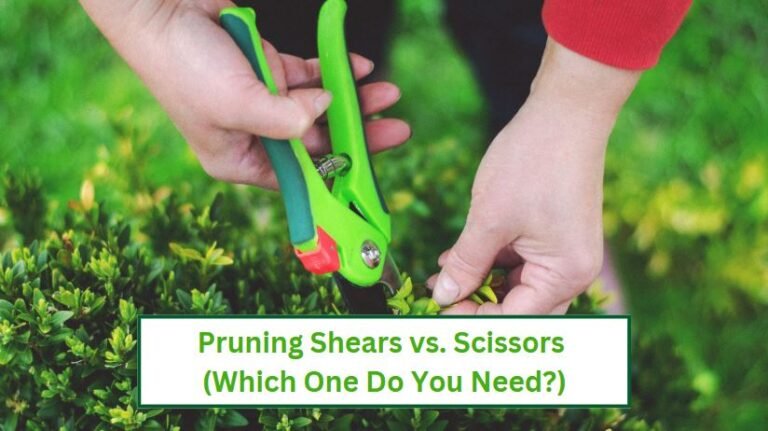Pruning shears vs scissors which one do you need