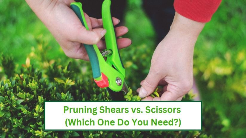 Pruning shears vs scissors which one do you need