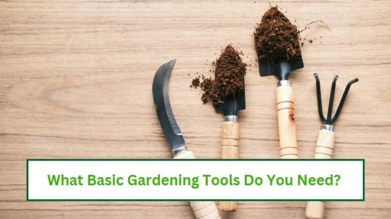 What basic gardening tools do you need