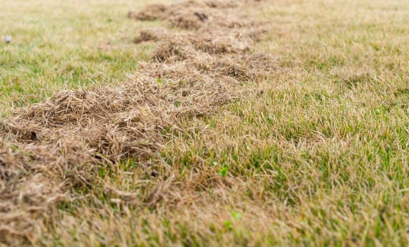Aerated lawn