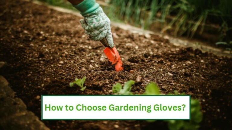 How to choose gardening gloves