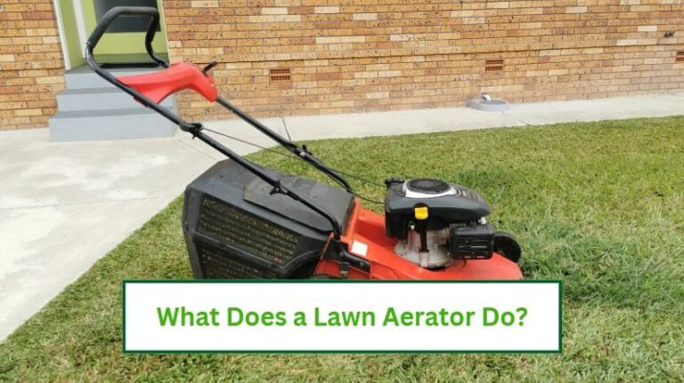 What does a lawn aerator do