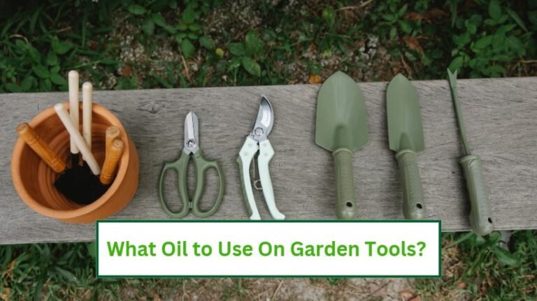 What oil to use on garden tools