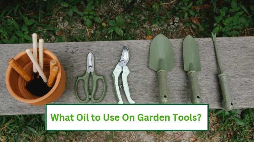 What oil to use on garden tools