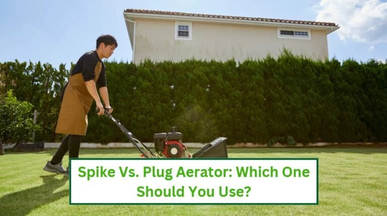 Spike vs plug aerator which one
