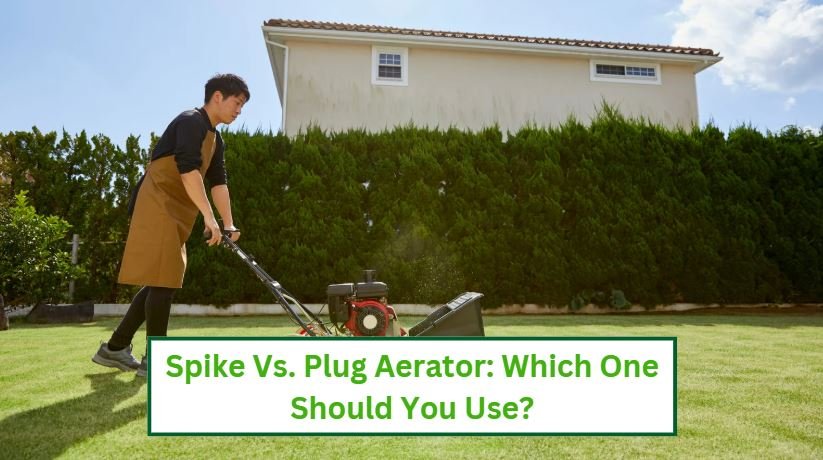 Spike vs plug aerator which one