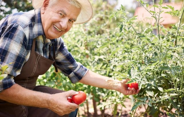 Arthritis and gardening