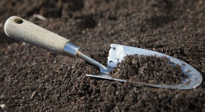 Hand trowel