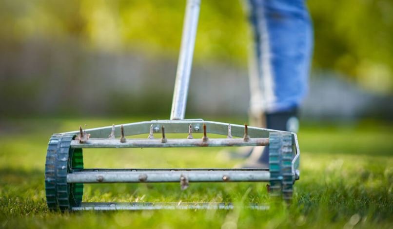 Spike aerator on a lawn 