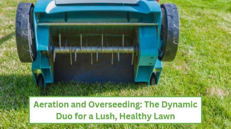 Aeration and overseeding