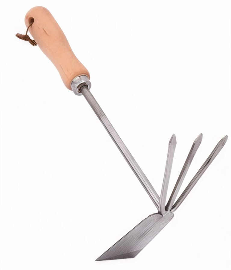 Products - image beech-handle-double-hoe-cultivator-bell-020-ss-1-768x896 on https://belltowercn.com