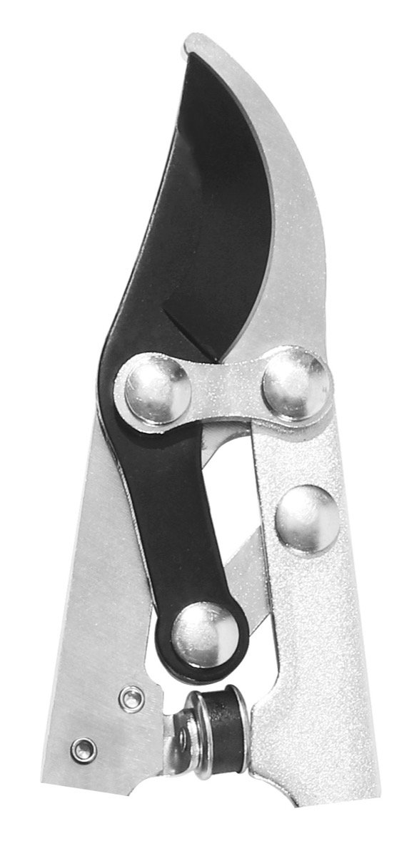 Products - image extended-reach-pole-pruner-blades-replacement-Bell-014-BL on https://belltowercn.com