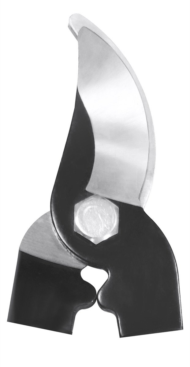 Products - image forged-steel-lopper-blades-35mm-cutting-capacity-Bell-001-BL on https://belltowercn.com