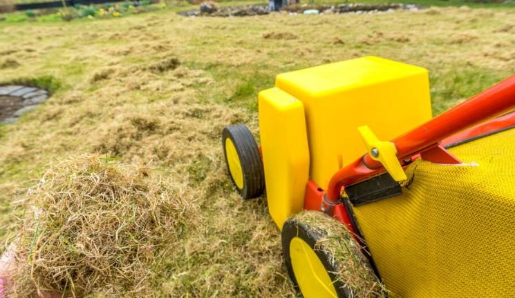 Lawn scarifier