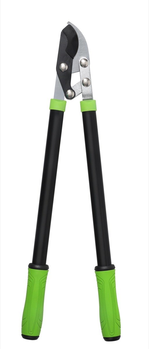 Products - image telescopic-loppers-extendable-handle-reach-high-branches-Bell-003-LPS on https://belltowercn.com