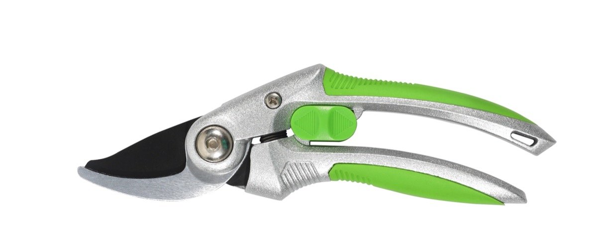 Bypass Pruner