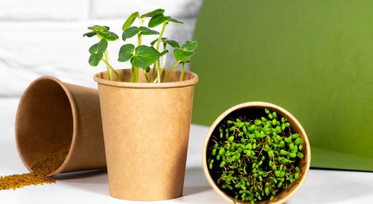 Eco friendly gardening tools