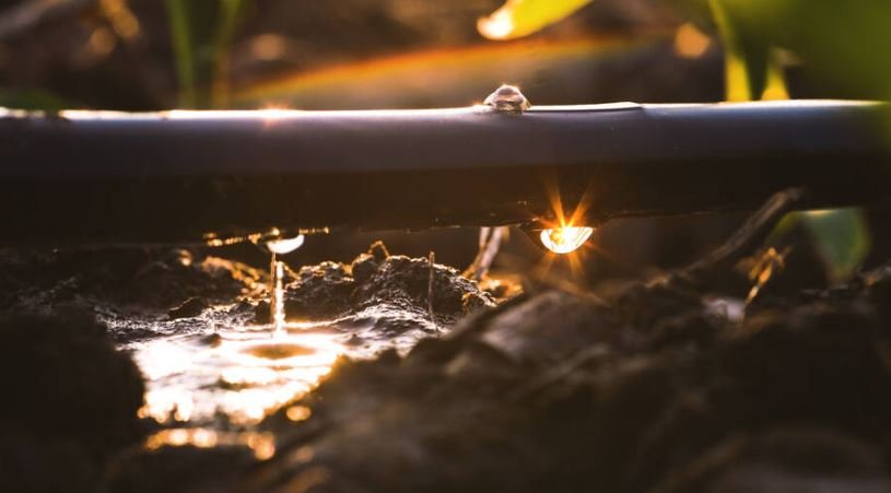 Drip irrigation system ..